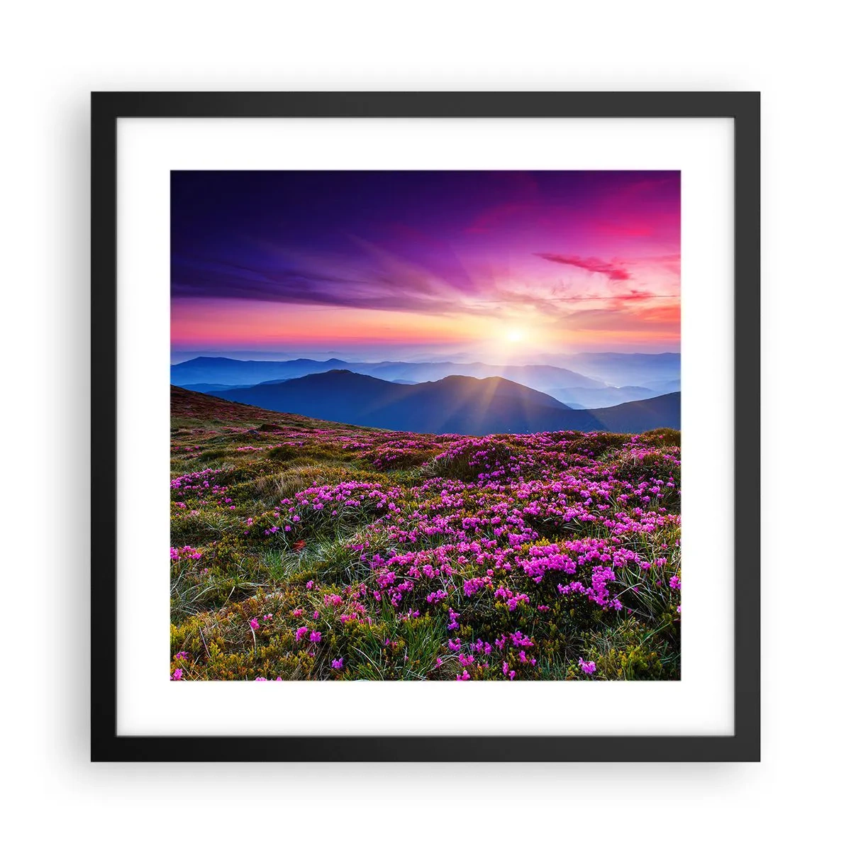 Poster in einem schwarzem Rahmen - Kräuter dufteten nach frischen Trauben von den Feldern - 40x40 cm