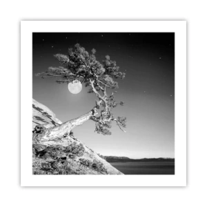 Poster - Siegreiche Kämpferin - 50x50 cm