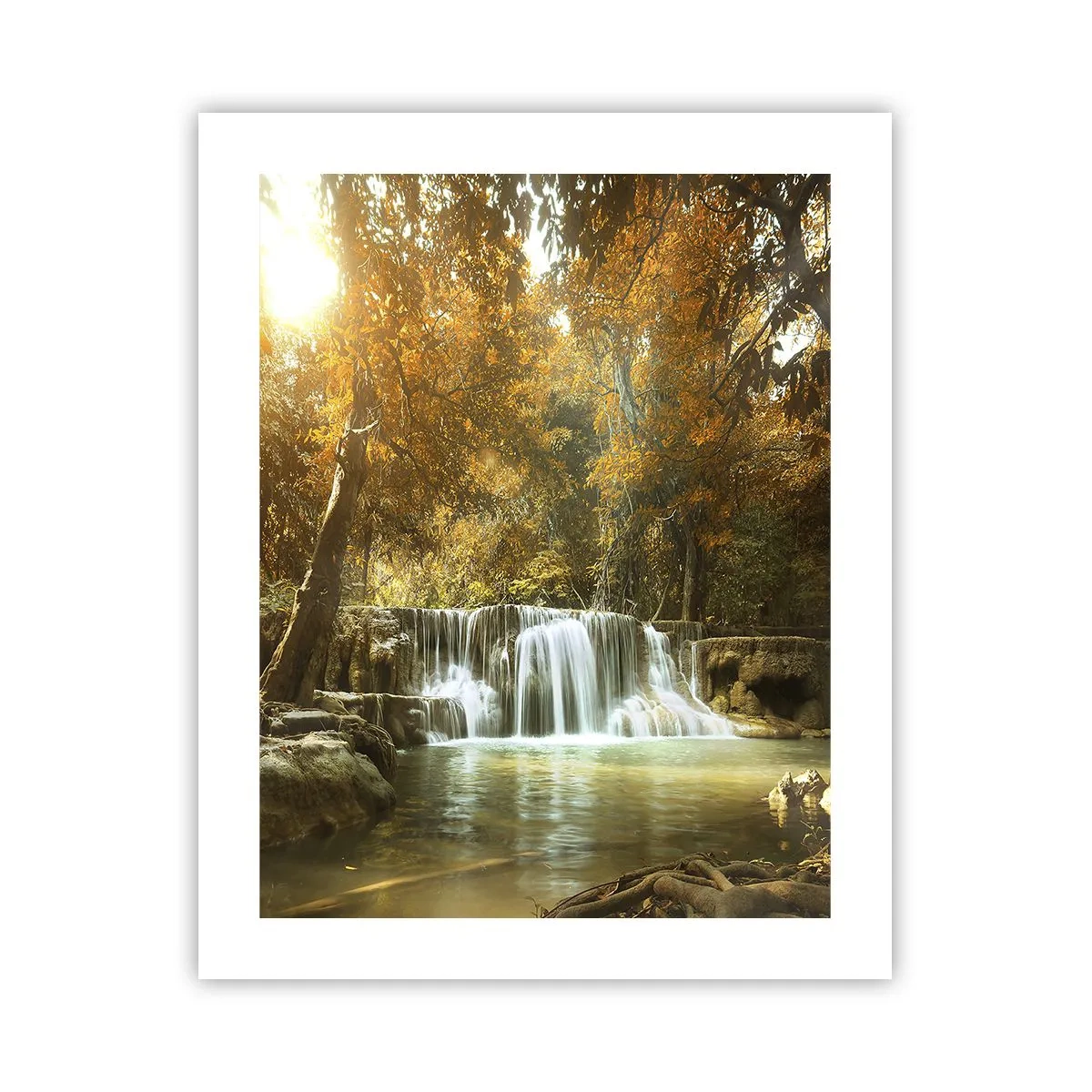 Poster - Parkkaskade - 40x50 cm