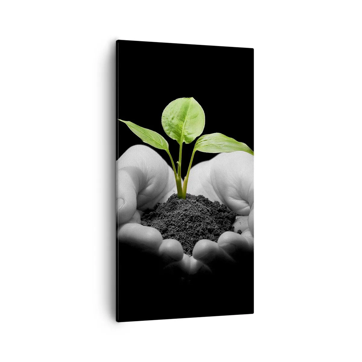 Bild auf Leinwand - Leinwandbild - Ich liebe die Natur, ich beschütze sie - 55x100 cm