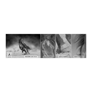 Fototapeten Muster Premium Canvas - Würdig des Emirs selbst - Pferd, Tiere, Natur - 100x30 cm
