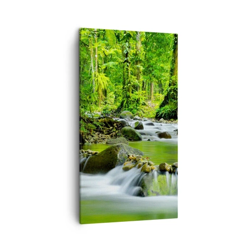 Bild auf Leinwand - Leinwandbild - Schwimmen Sie in einem Meer aus Grün - 45x80 cm