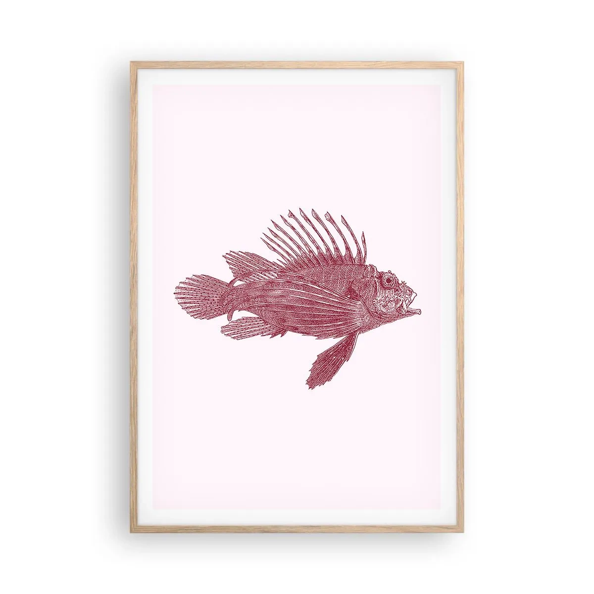 Poster in einem Rahmen aus heller Eiche - Bewohner exotischer Gewässer - 70x100 cm