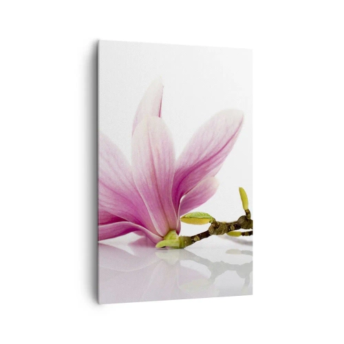 Bild auf Leinwand - Leinwandbild - Zarte rosa Magnolien auf weißem Hintergrund - 80x120cm - Zart wie ein Frühlingswind - Moderne Wanddekoration für Wohnzimmer und Schlafzimmer ARTTOR
