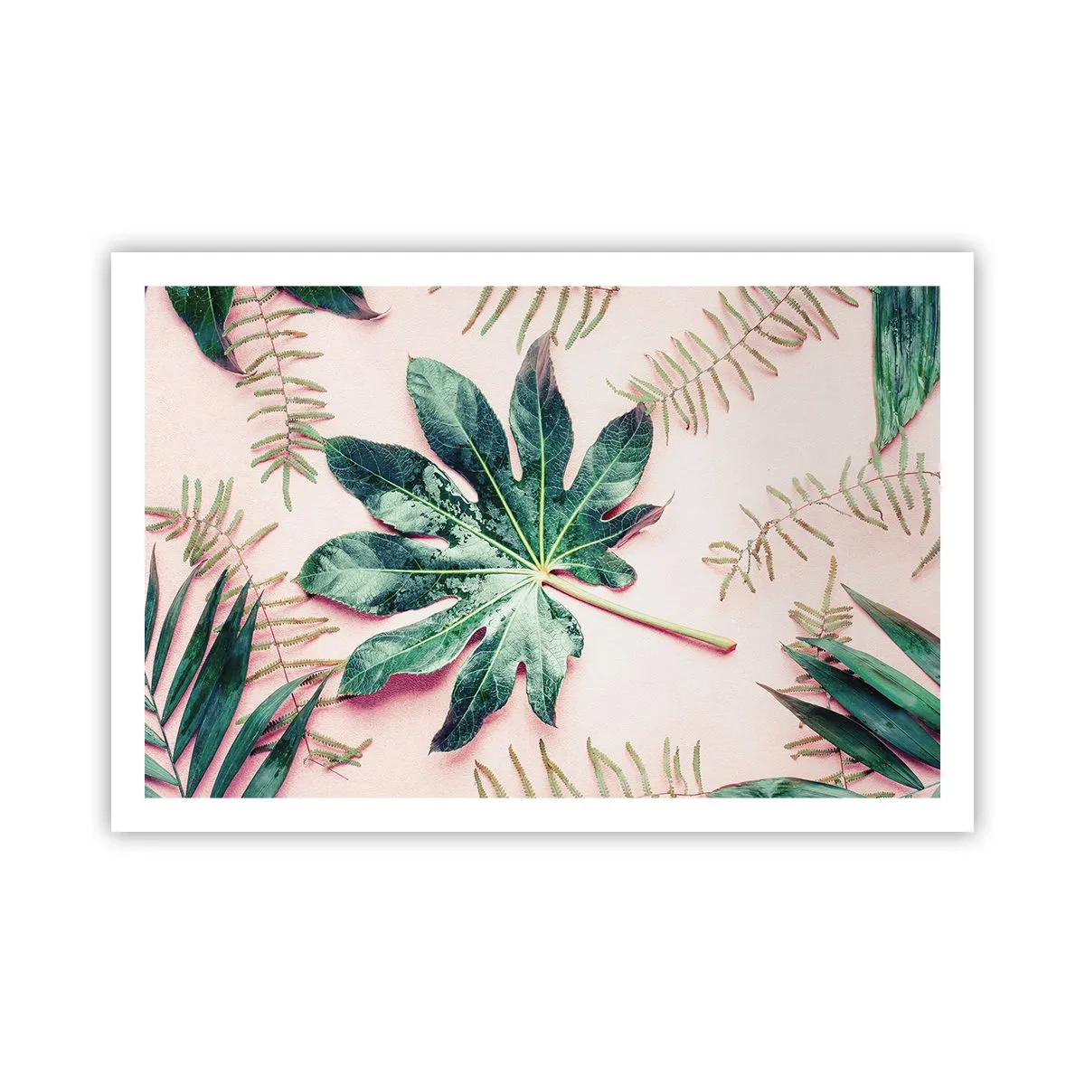 Poster - Eine Studie von Grün auf einem rosa Hintergrund - 91x61 cm