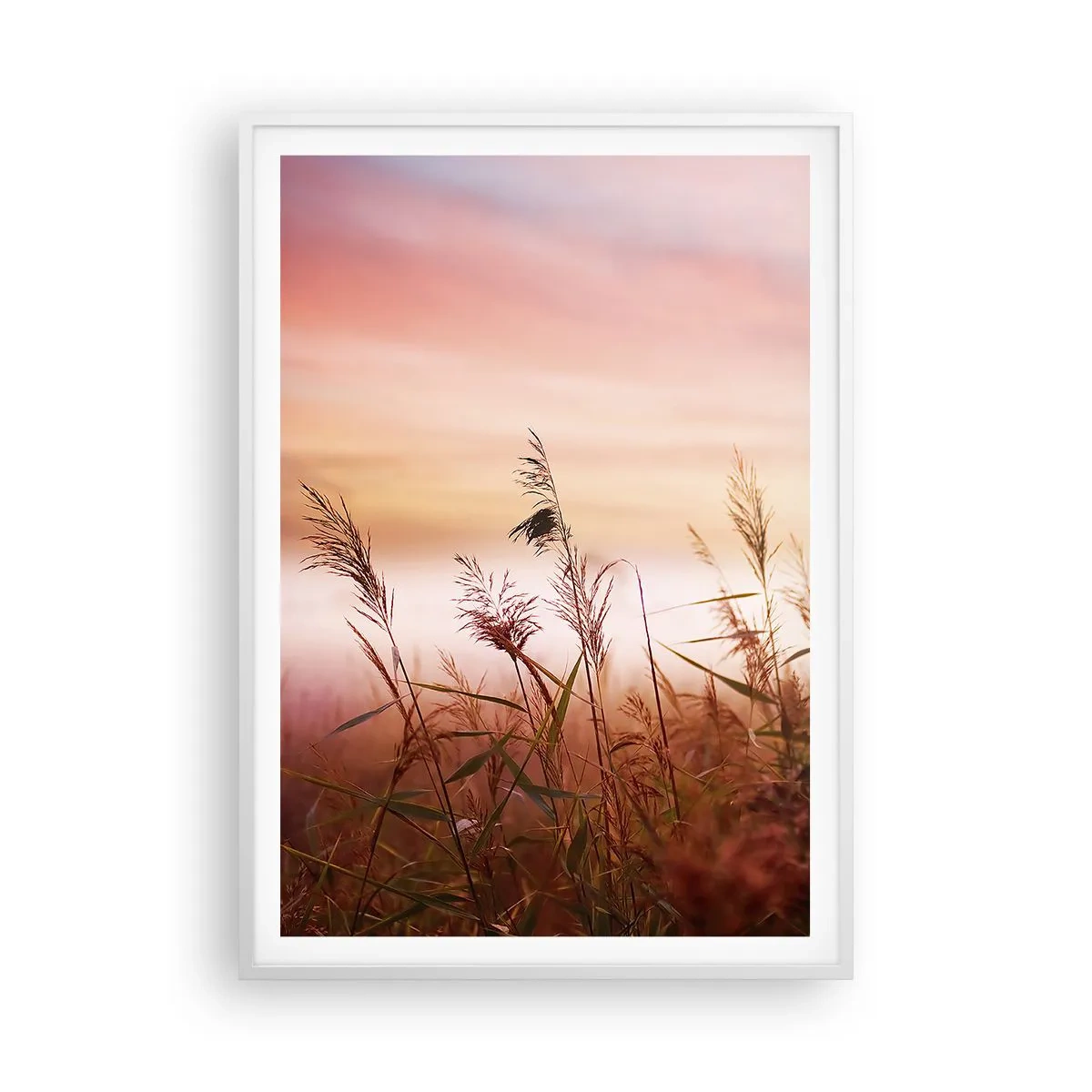 Poster in einem weißen Rahmen - Drachen, Löwenzahn, Wind - 70x100 cm