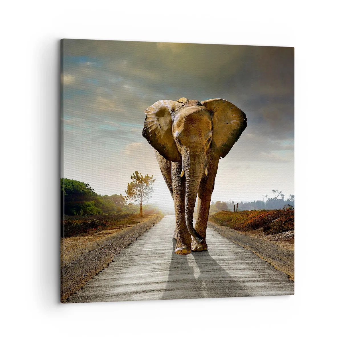 Bild auf Leinwand - Leinwandbild - Und schon gar nicht in einem Porzellanlager - 50x50 cm