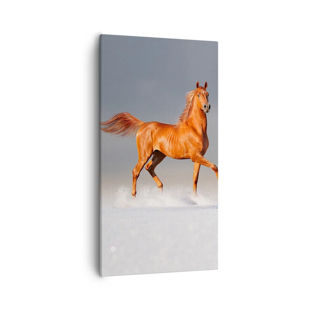 Bild auf Leinwand - Leinwandbild - Tanzende Anmut - 55x100 cm