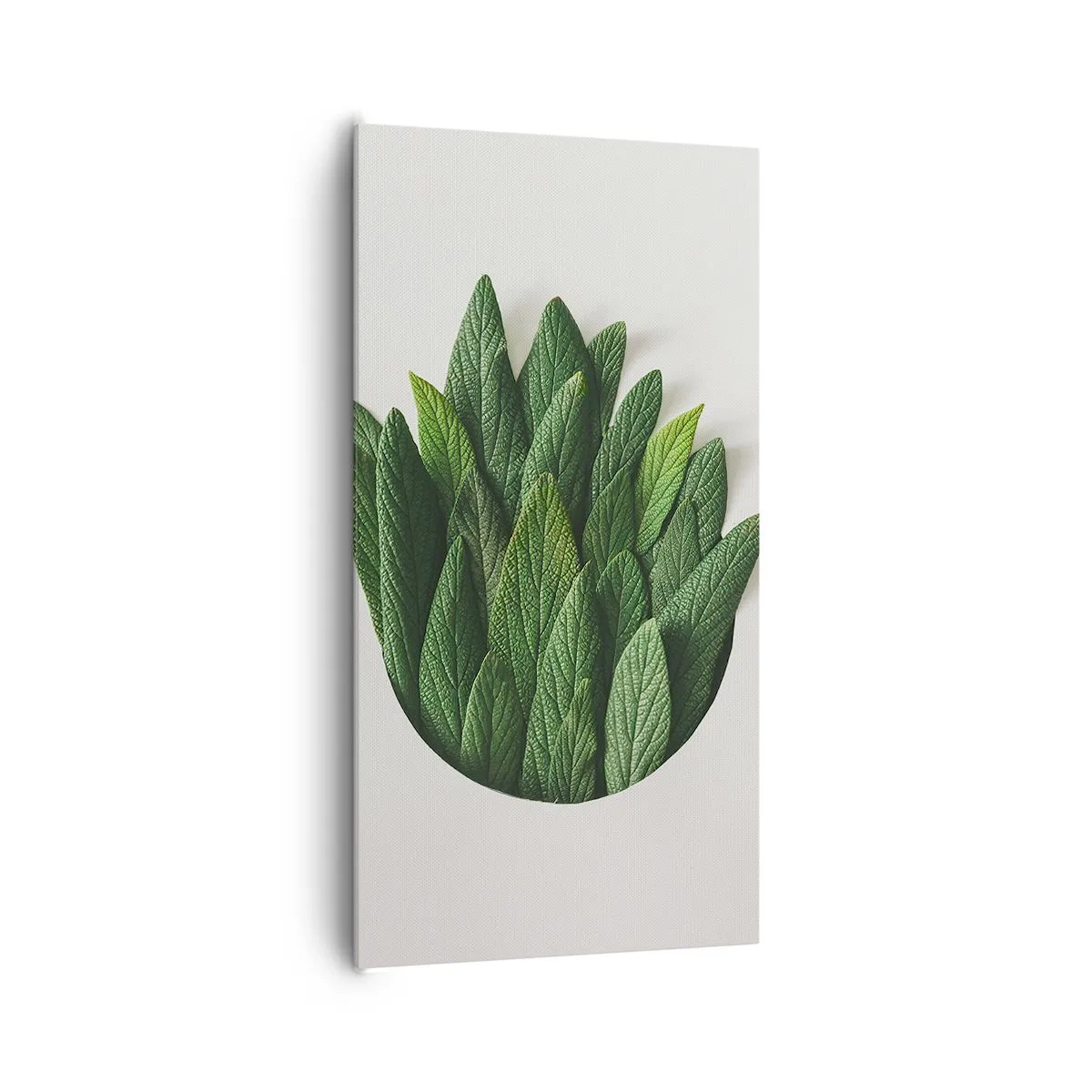 Bild auf Leinwand - Leinwandbild - Ungebremste Neugier - 65x120 cm