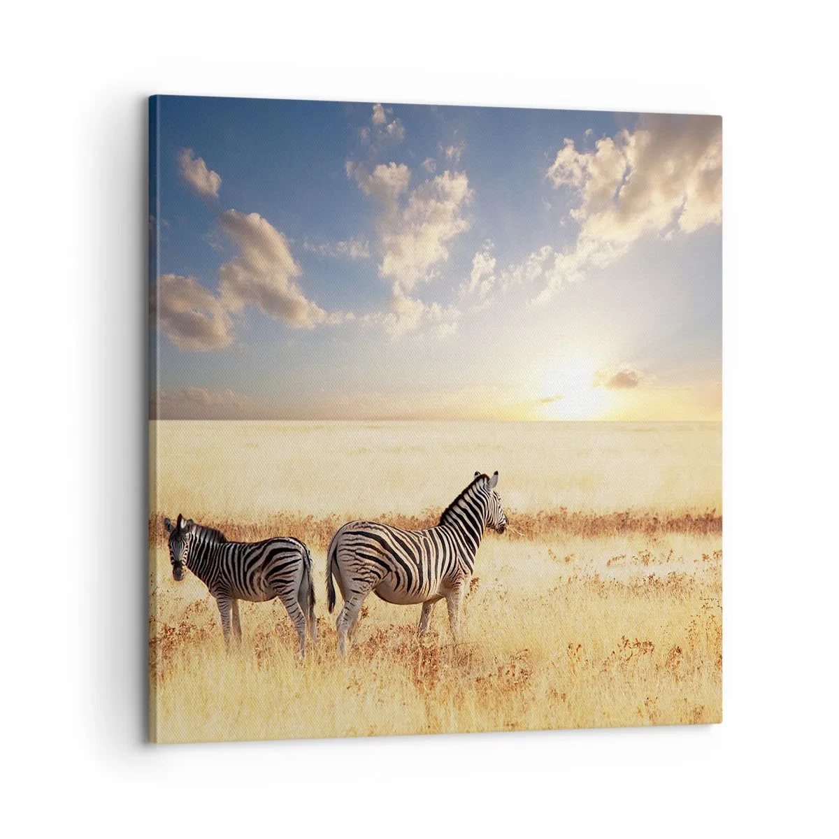 Bild auf Leinwand - Leinwandbild - Geh weg, sei nicht in Frieden - 60x60 cm