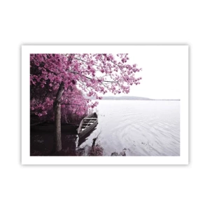 Poster - In rosa Stille - 70x50 cm
