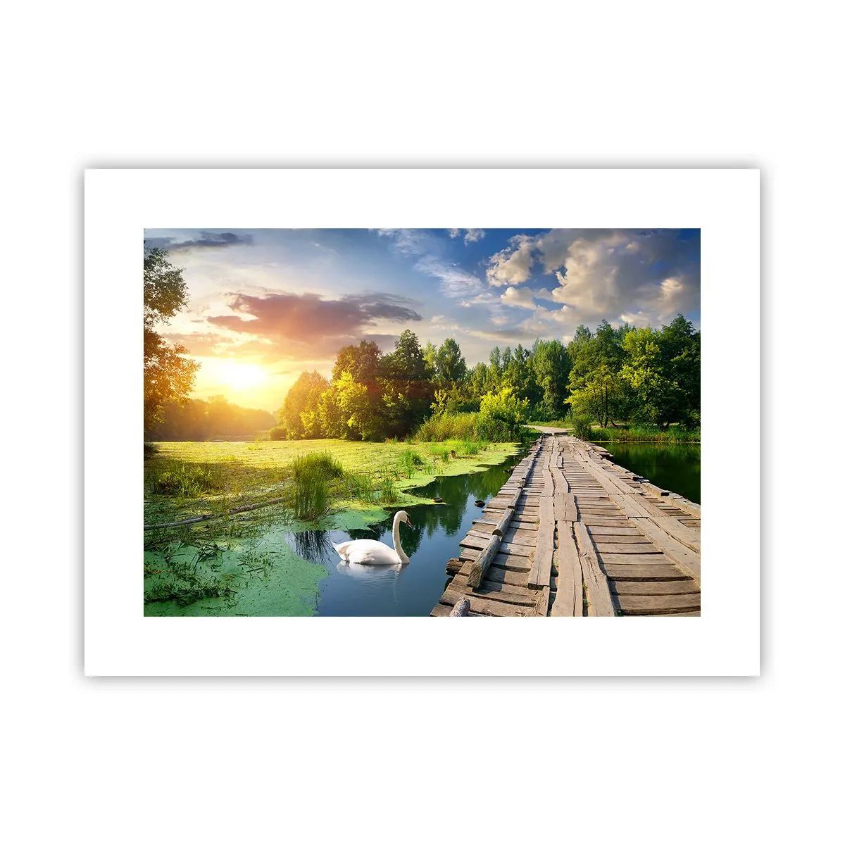 Poster - Sommer, Sommer überall - 40x30 cm