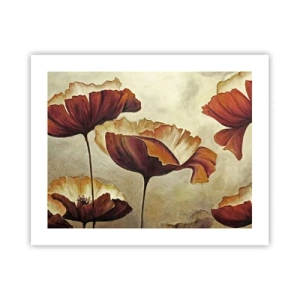 Poster - Weideland - 50x40 cm