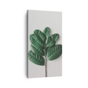 Bild auf Leinwand - Leinwandbild - Eine Zeichnung purer Natur - 45x80 cm