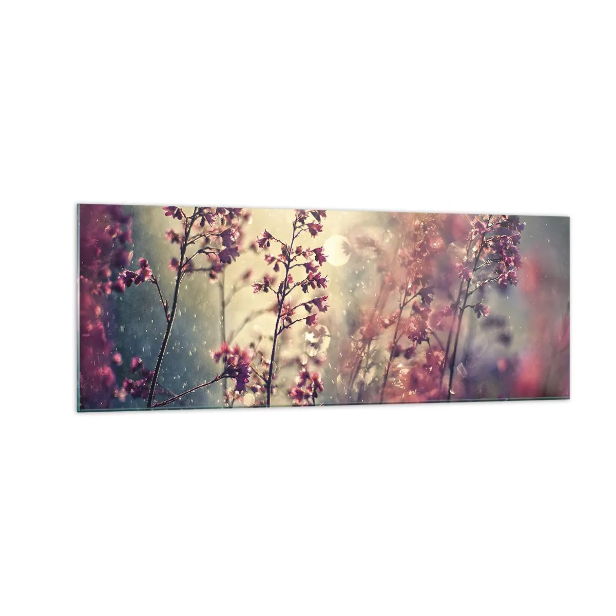 Glasbild - Bild auf glas - Blumen im Sonnenlicht vor dem Hintergrund der Natur - 140x50cm - Geheimnisvoller Garten - Moderne Wanddekoration für Wohnzimmer und Schlafzimmer ARTTOR