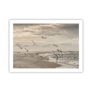 Poster - Meeresrauschen, Vogelgesang - 70x50 cm