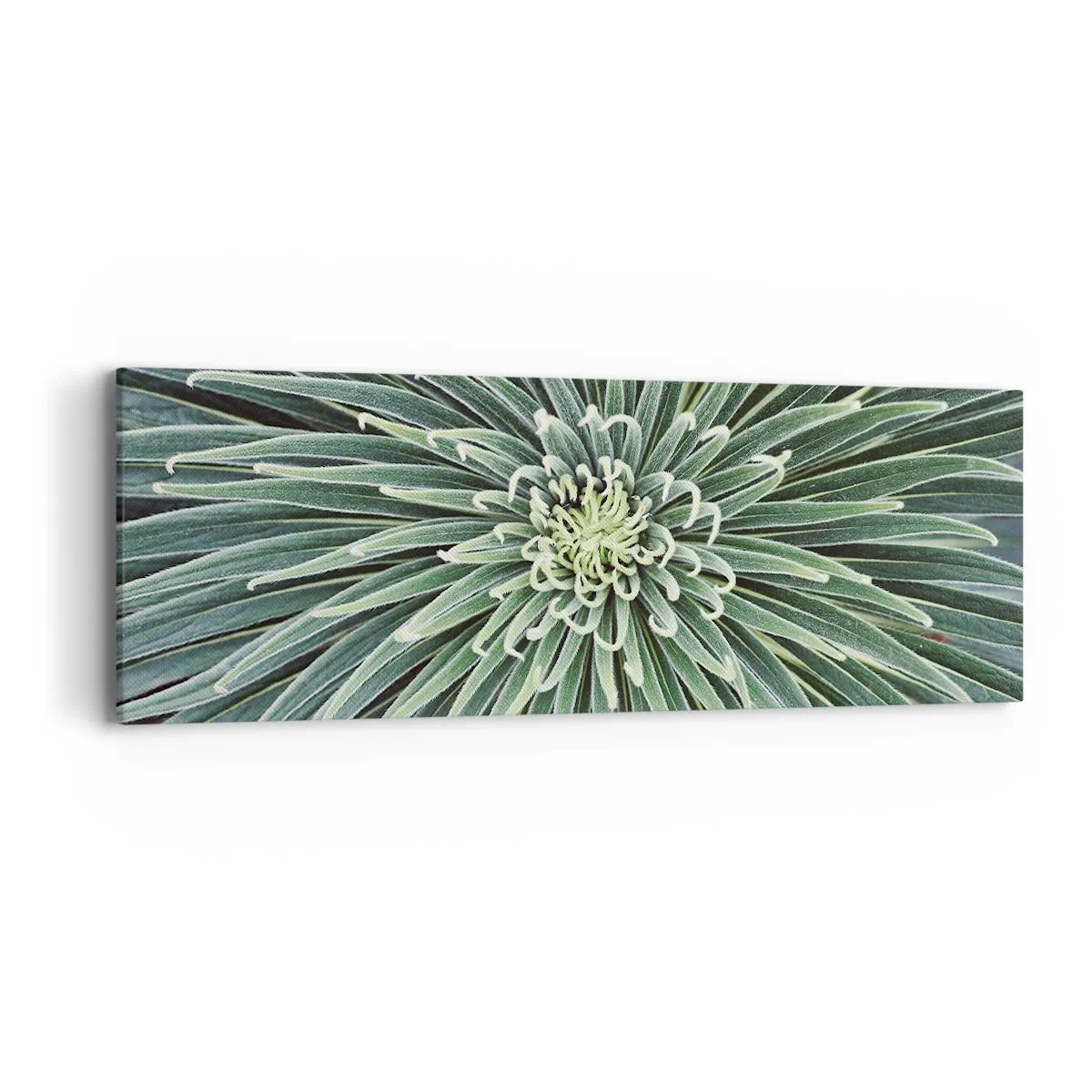 Bild auf Leinwand - Leinwandbild - Ein Star ist geboren - 90x30 cm