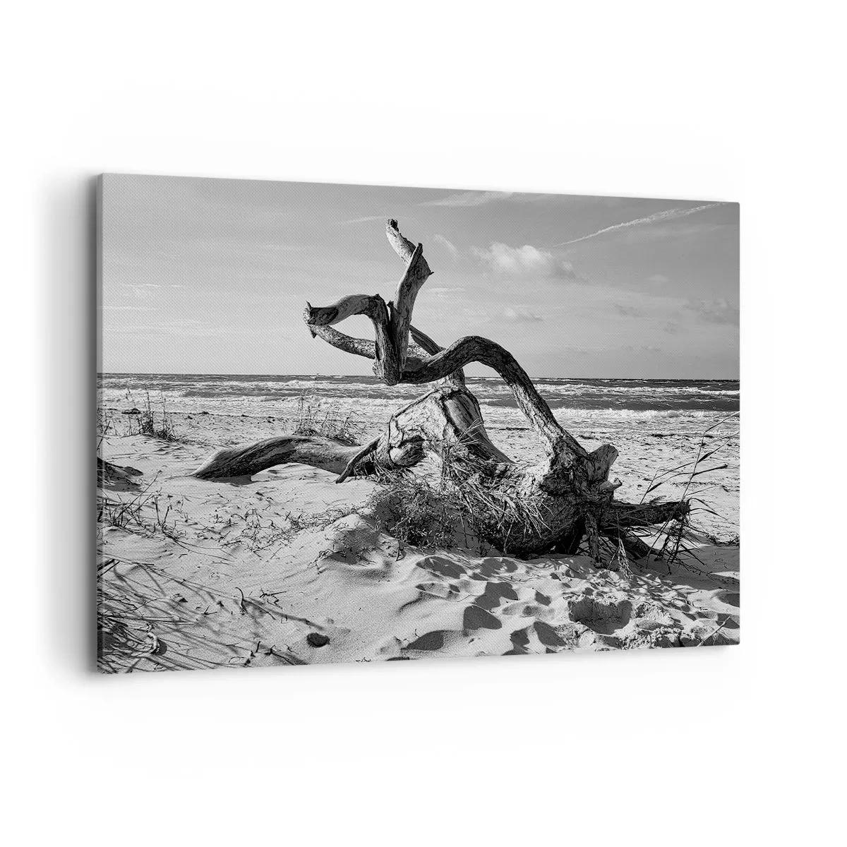 Bild auf Leinwand - Leinwandbild - Schwarz-weiße Landschaft mit einem toten Baum am Strand - 120x80cm - Meeresskulptur - Moderne Wanddekoration für Wohnzimmer und Schlafzimmer ARTTOR