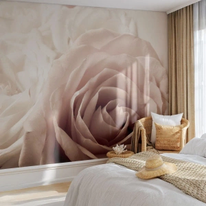 Fototapete Premium Sand - Nahaufnahme von cremefarbenen Rosen im romantischen Licht - 100x70cm - Im Herzen der Rose - Moderne Wanddekoration für Wohnzimmer und Schlafzimmer ARTTOR