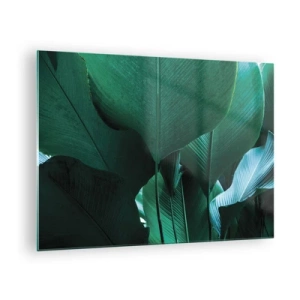 Glasbild - Bild auf glas - Tropische Blätter in intensiven Grüntönen - 70x50cm - Dem Licht zugewandt - Moderne Wanddekoration für Wohnzimmer und Schlafzimmer ARTTOR