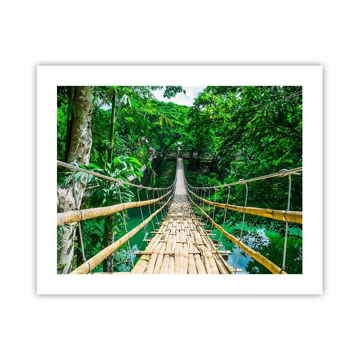 Poster - Monkey Bridge über das Grün - 50x40 cm