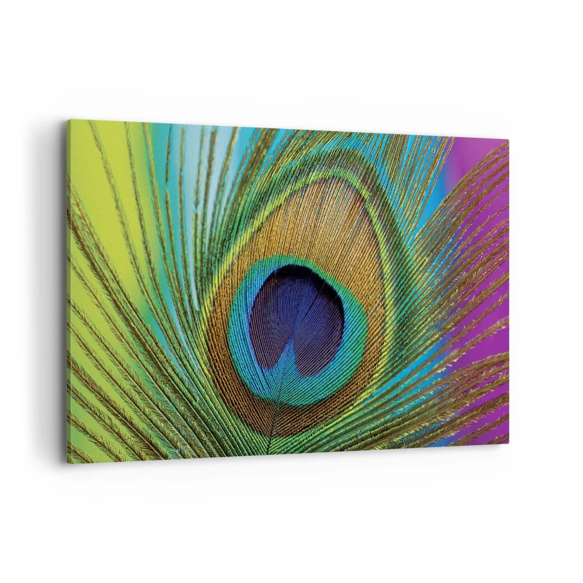 Bild auf Leinwand - Leinwandbild - Nahaufnahme einer Pfauenfeder mit lebendigen Farben - 120x80cm - Auge in Auge - Moderne Wanddekoration für Wohnzimmer und Schlafzimmer ARTTOR