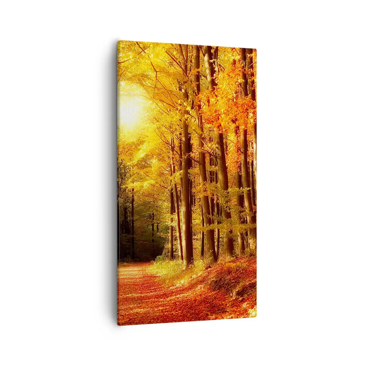 Bild auf Leinwand - Leinwandbild - Goldener Herbst auf einer Forststraße - 55x100 cm