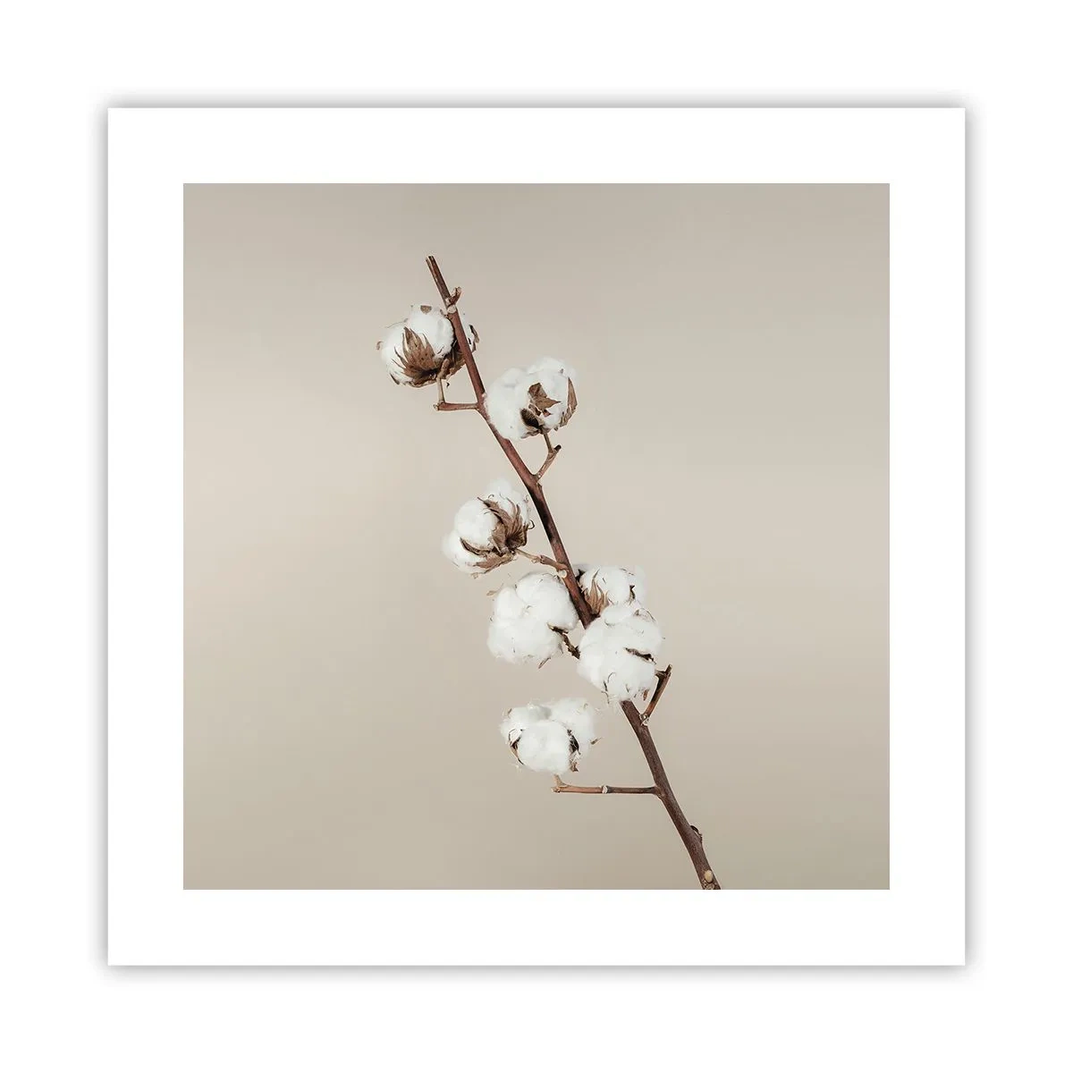 Poster - An der Quelle der Weichheit - 40x40 cm