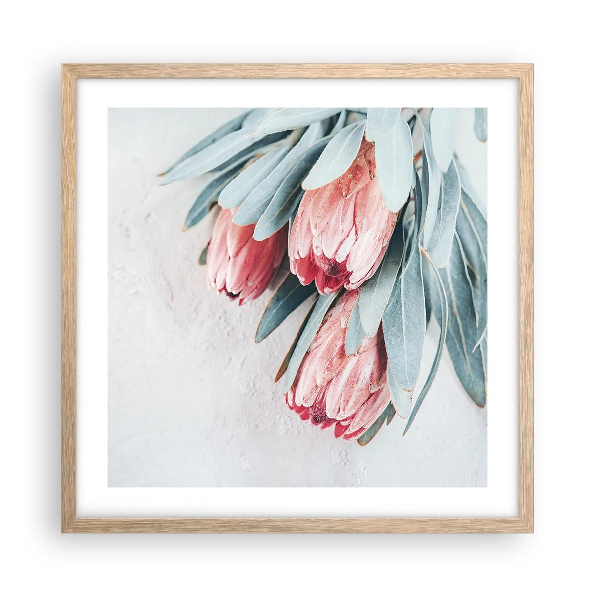 Poster in einem Rahmen aus heller Eiche - Schämen sich für ihre eigene Schönheit - 50x50 cm