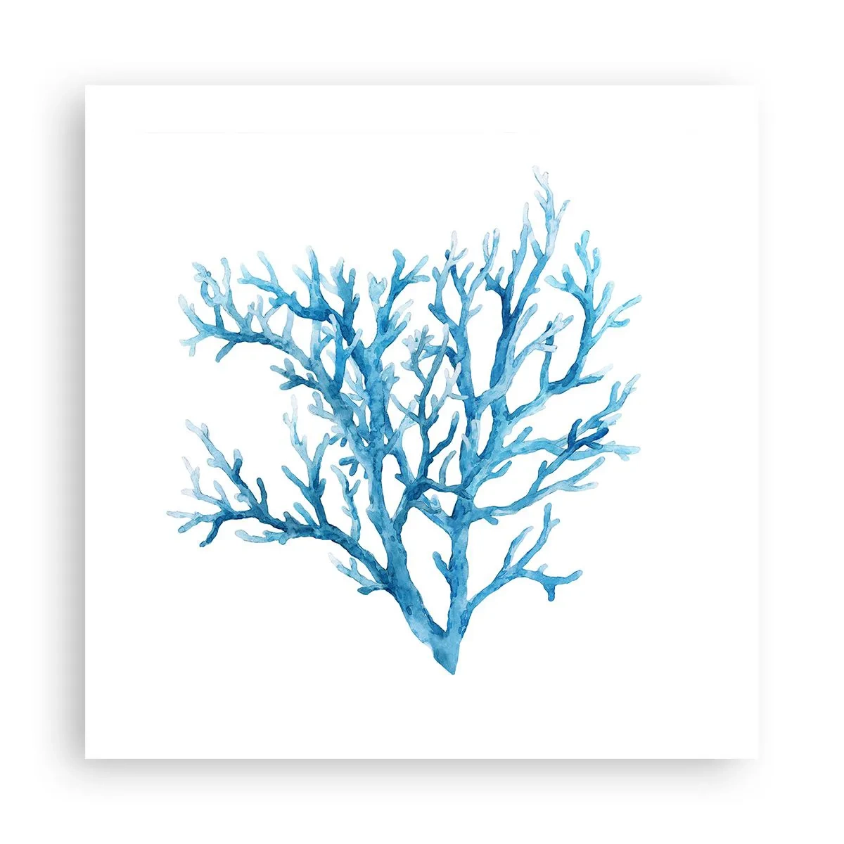 Poster - Nautisches Filigran - 50x50 cm