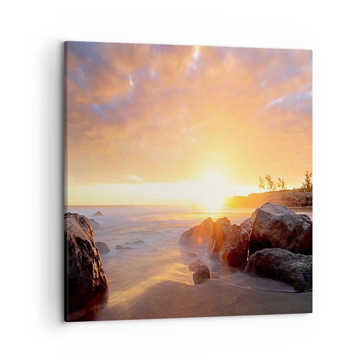 Bild auf Leinwand - Leinwandbild - Leuchtende Brise des Abends - 50x50 cm