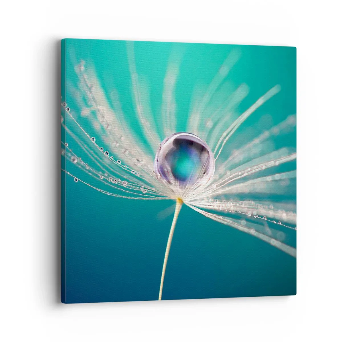 Bild auf Leinwand - Leinwandbild - Mystischer Moment - 40x40 cm