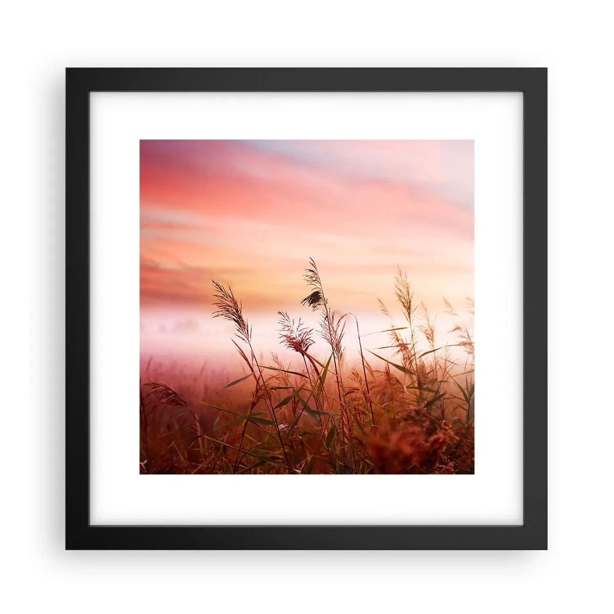 Poster in einem schwarzem Rahmen - Drachen, Löwenzahn, Wind - 30x30 cm