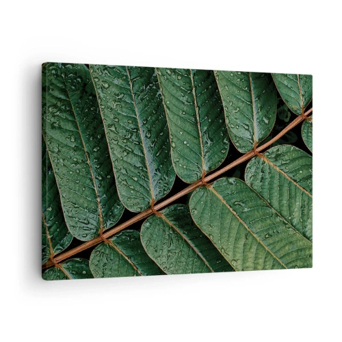 Bild auf Leinwand - Leinwandbild - Makroaufnahme von grünen Blättern mit Tautropfen - 70x50cm - Im grünen Rhythmus - Moderne Wanddekoration für Wohnzimmer und Schlafzimmer ARTTOR