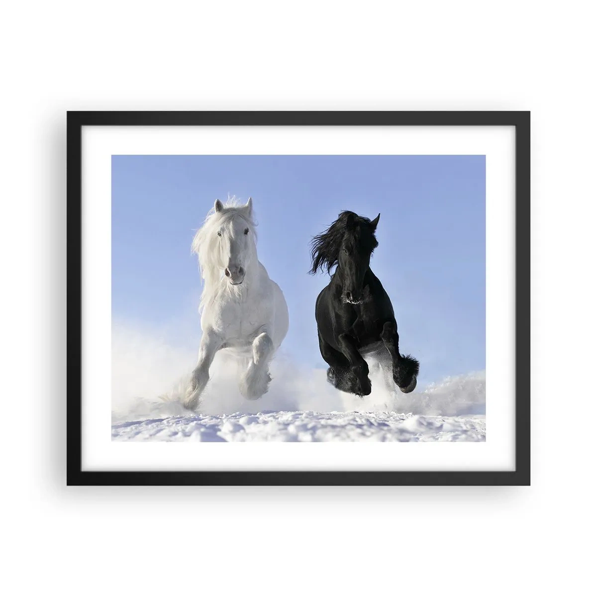 Poster in einem schwarzem Rahmen - Schwarz-Weiß-Galopp - 50x40 cm