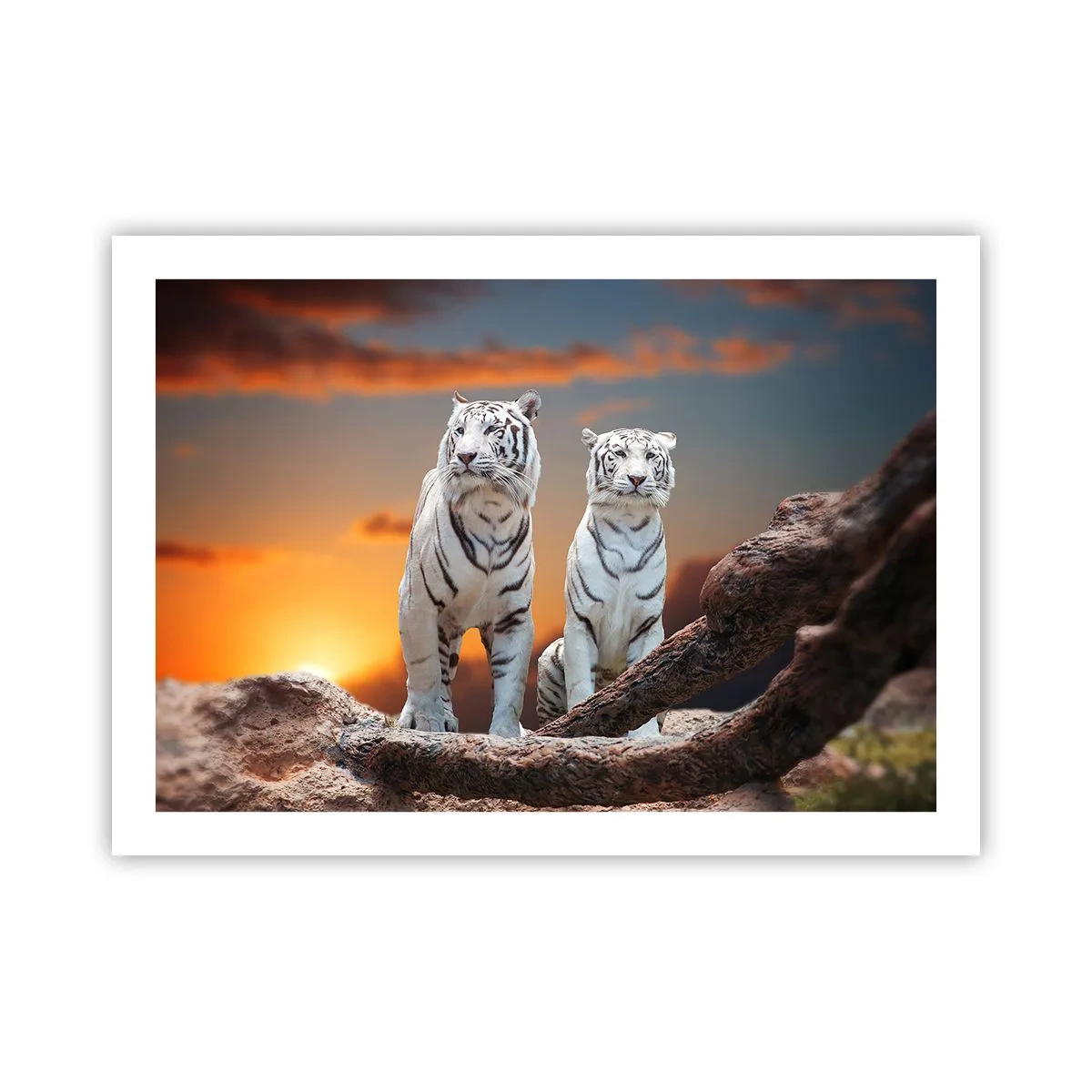 Poster - Genau wie Narnia - 70x50 cm