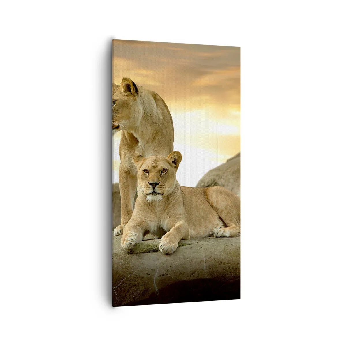 Bild auf Leinwand - Leinwandbild - Königliche Majestät - 65x120 cm
