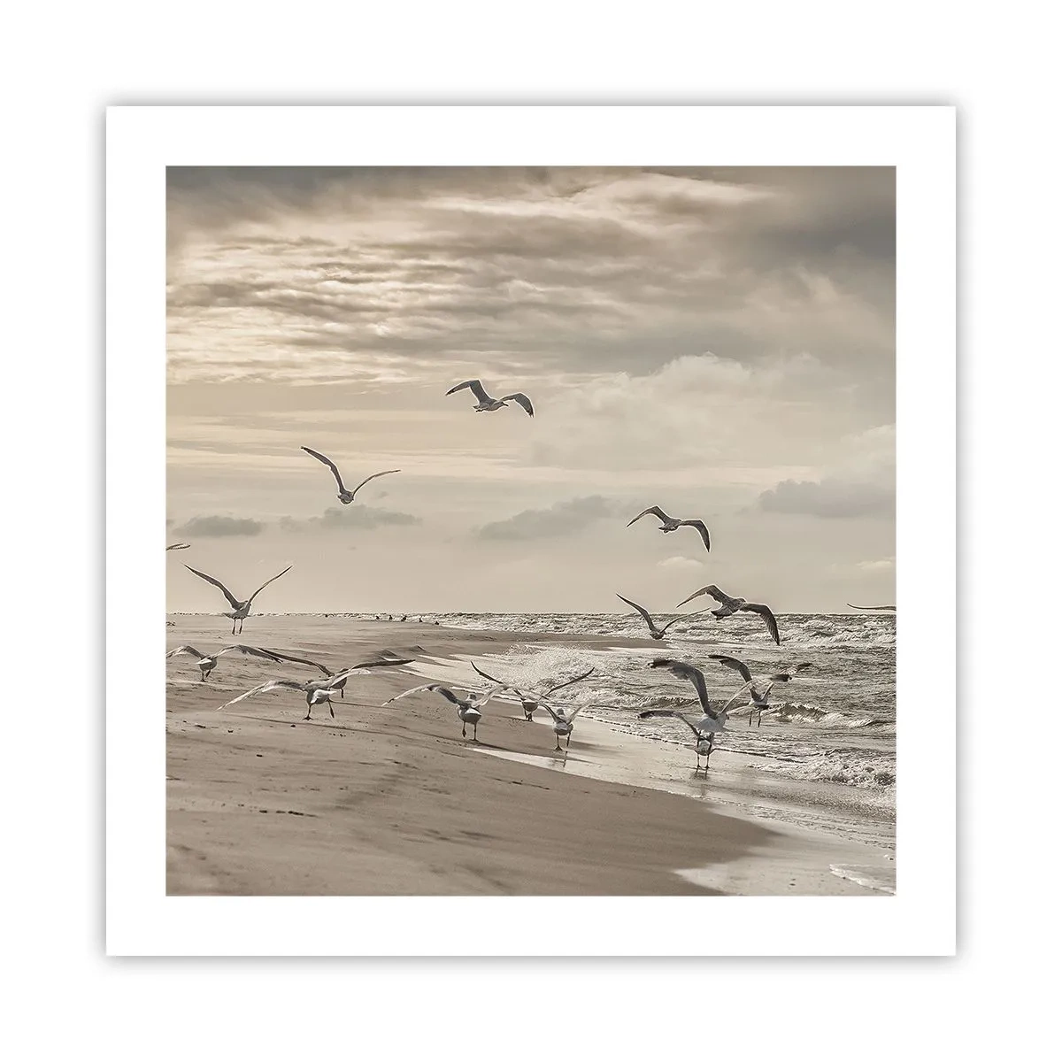 Poster - Meeresrauschen, Vogelgesang - 50x50 cm