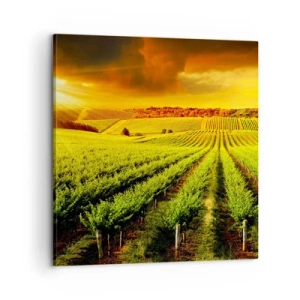 Bild auf Leinwand - Leinwandbild - Unter der australischen Sonne - 60x60 cm