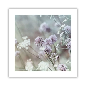 Poster - Süße filigrane Kräuter - 40x40 cm
