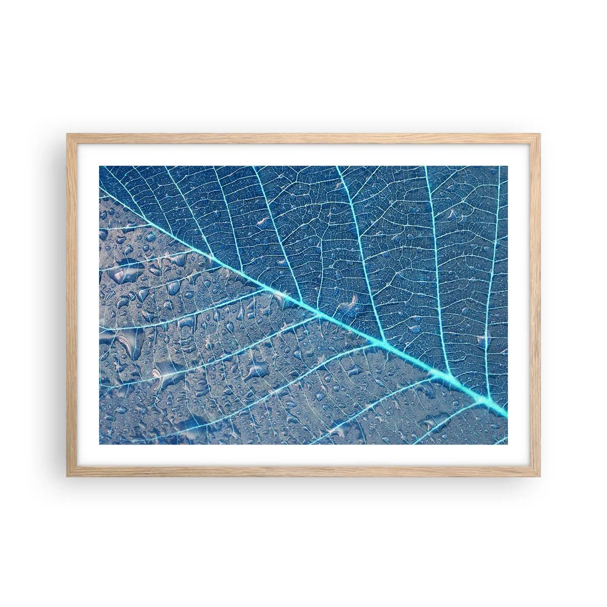 Poster in einem Rahmen aus heller Eiche - Leben in Blau - 70x50 cm