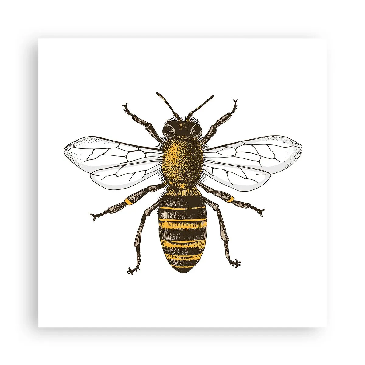 Poster - Schön und gut - 40x40 cm