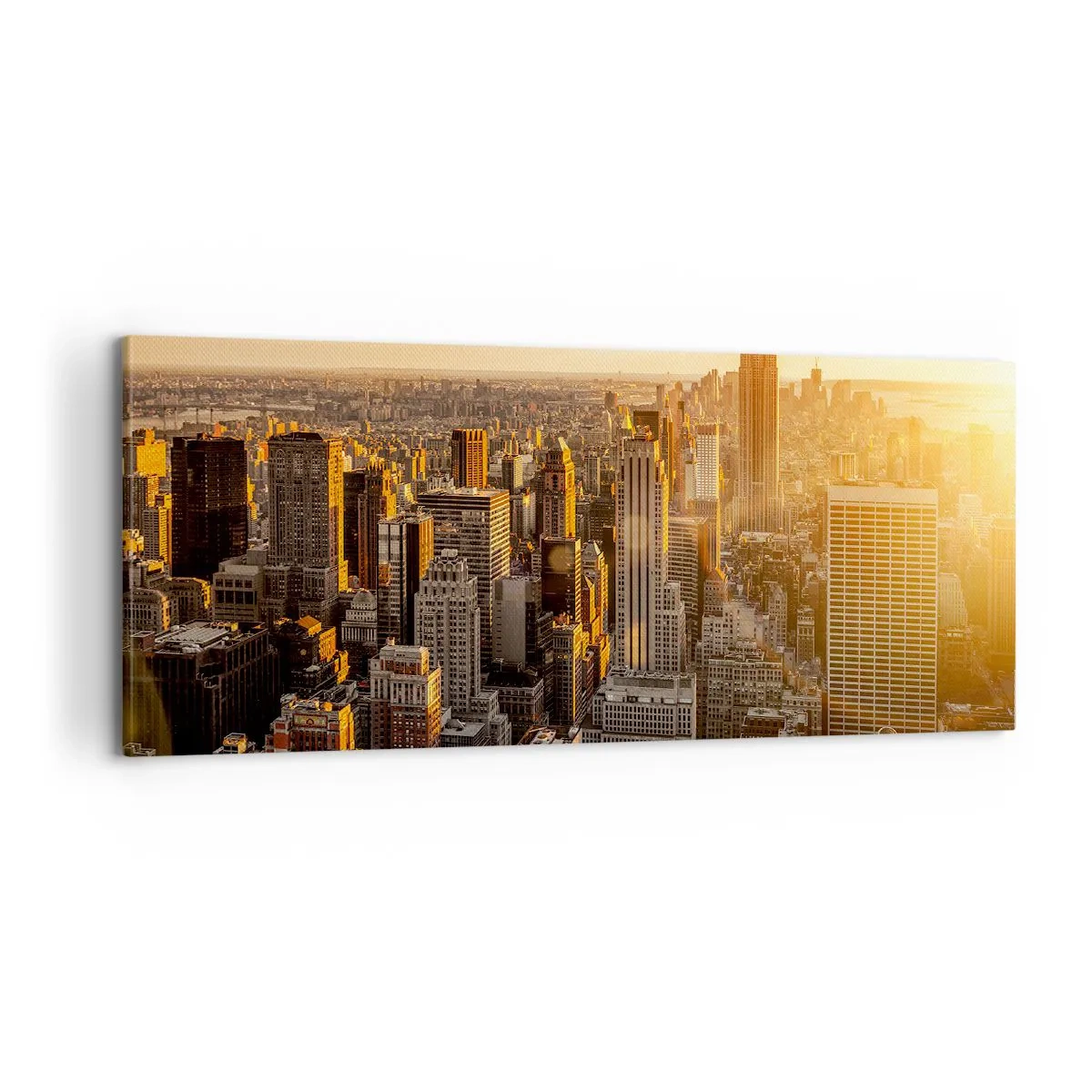 Bild auf Leinwand - Leinwandbild - In der Sonne wachsen - 100x40 cm