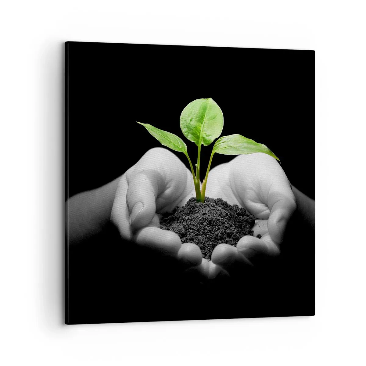 Bild auf Leinwand - Leinwandbild - Ich liebe die Natur, ich beschütze sie - 50x50 cm