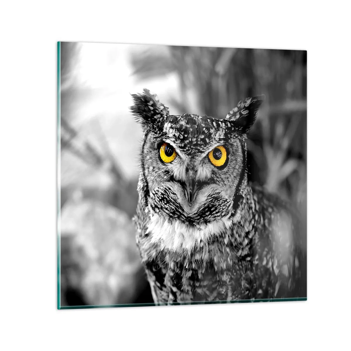 Glasbild - Bild auf glas - Nichts wird sich verstecken - 30x30 cm