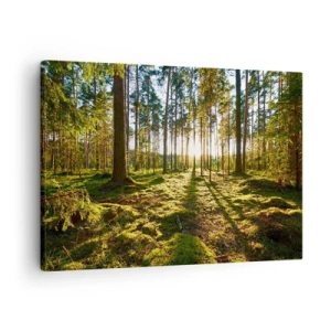 Bild auf Leinwand - Leinwandbild - Grüner Wald, beleuchtet durch Sonnenlicht auf dem Moos - 70x50cm - … Hinter den sieben Wäldern - Moderne Wanddekoration für Wohnzimmer und Schlafzimmer ARTTOR