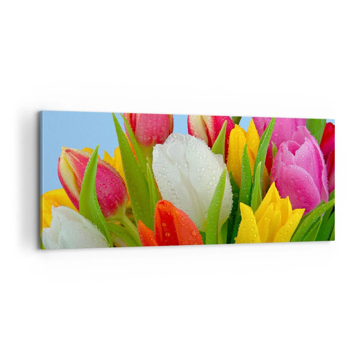 Bild auf Leinwand - Leinwandbild - Ein blumiger Regenbogen in Tautropfen - 100x40 cm
