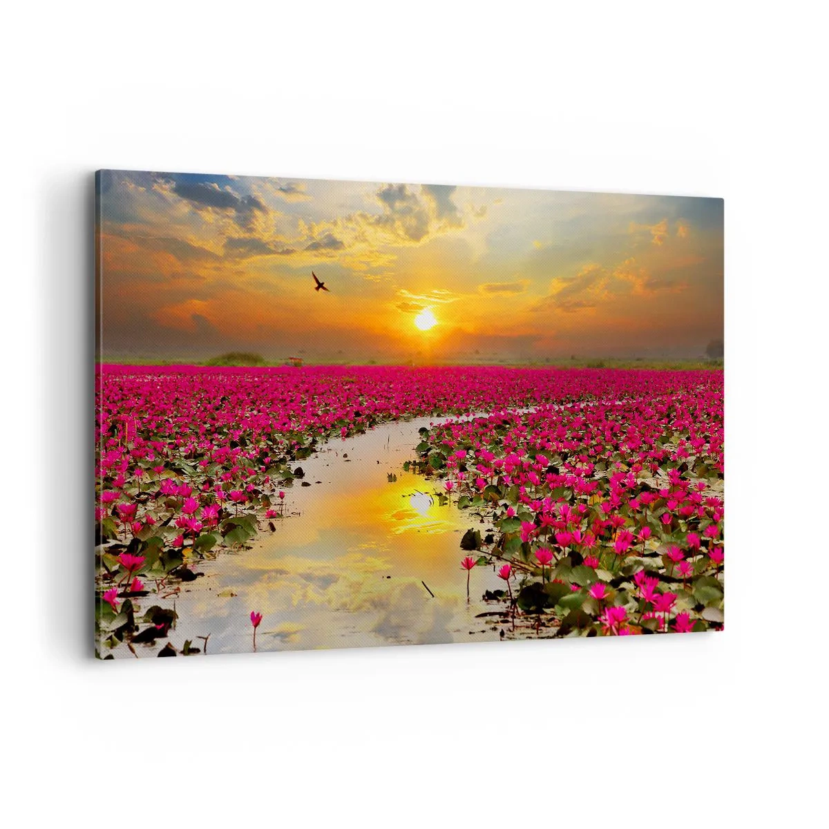 Bild auf Leinwand - Leinwandbild - Ein Feld mit rosa Seerosen bei Sonnenuntergang - 120x80cm - Das geheime Leben des Sees - Moderne Wanddekoration für Wohnzimmer und Schlafzimmer ARTTOR