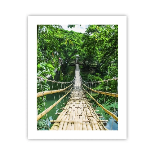 Poster - Monkey Bridge über das Grün - 40x50 cm
