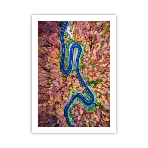 Poster - Eine kurvenreiche Straße in einem herbstlichen Wald aus der Vogelperspektive gesehen - 50x70cm - Kurvenreicher Weg durch den Wald - Moderne Wanddekoration für Wohnzimmer und Schlafzimmer ARTTOR
